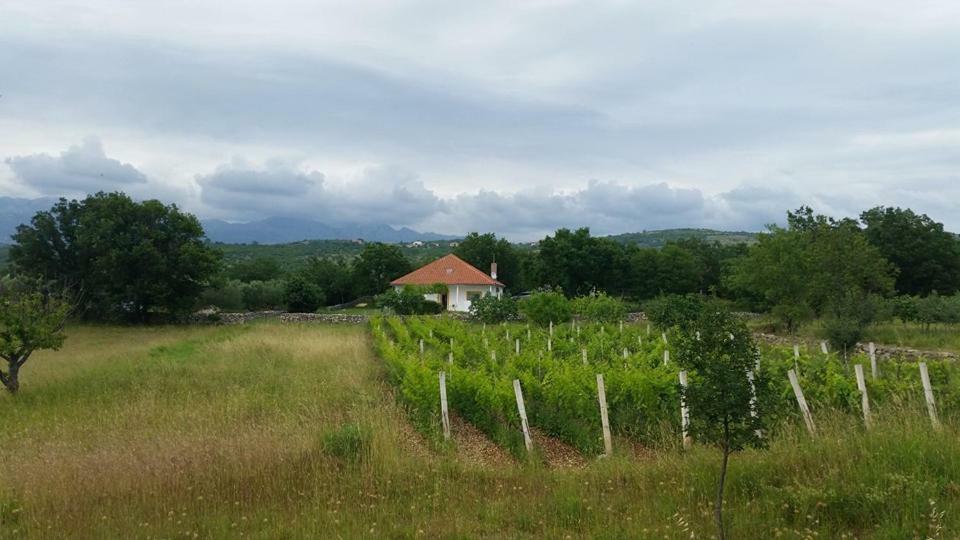Holiday House Tunjarice Obrovac Ngoại thất bức ảnh