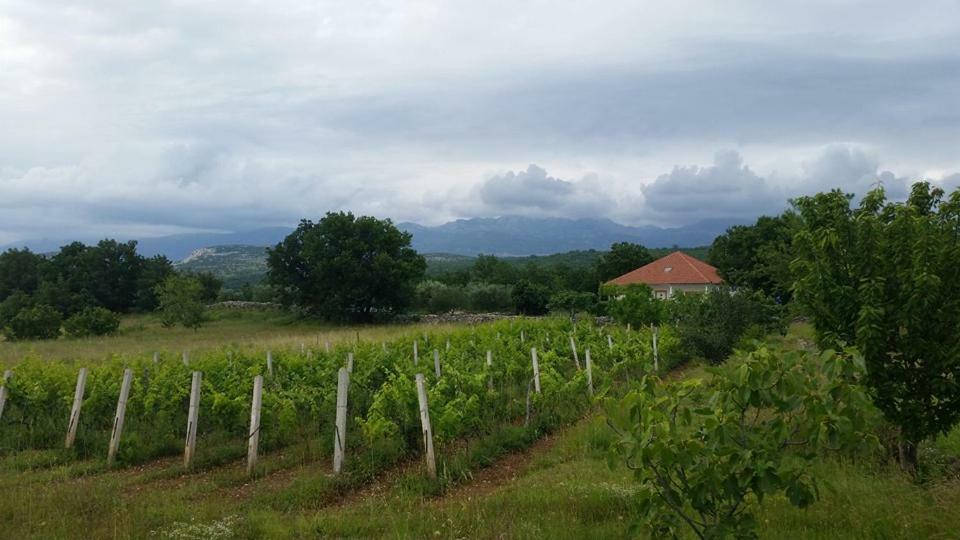 Holiday House Tunjarice Obrovac Ngoại thất bức ảnh